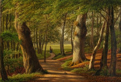 La foresta di Hellebæk da F.C. Kiærskou